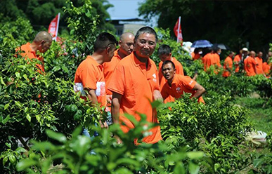 震驚：50元買一只紅蜘蛛？!——這一次，果農(nóng)們有話要說(shuō)